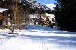 20100324-wengen_0186.jpg