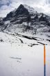 20100329-first-0207.jpg