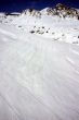 20100329-first-0226.jpg
