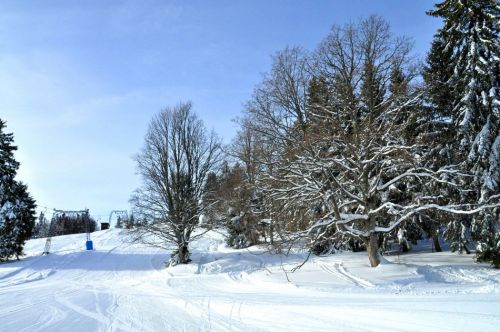 4. Februar 2010
