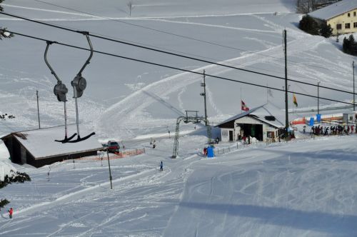 4. Februar 2010

