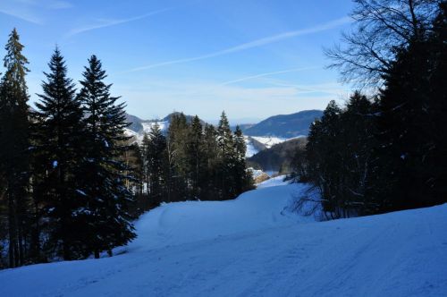 Plötzlich tut sich ein wunderbarer Blick bis in die Ostschweiz auf - am Horizont thront der Säntis
