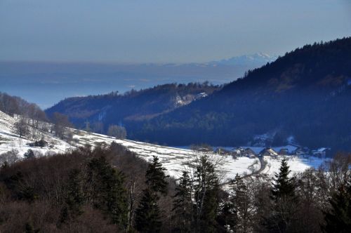 Blick in die Ostschweiz
