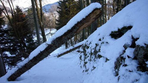 Kurzes Off-Piste-Erlebnis à la Jura...
