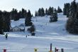 20100204-d-orvin-0004.jpg