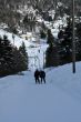 20100204-d-orvin-0013.jpg