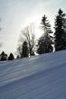 20100204-d-orvin-0019.jpg