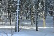 20100204-d-orvin-0026.jpg