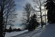 20100204-d-orvin-0027.jpg