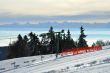 20100204-d-orvin-0030.jpg
