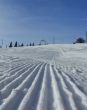 20100204-d-orvin-0055.jpg