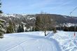 20100204-d-orvin-0060.jpg