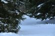 20100204-d-orvin-0152.jpg