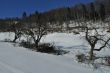 20100204-k-langenbruck-0212.jpg