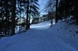 20100204-k-langenbruck-0238.jpg