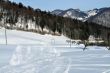 20100204-k-langenbruck-0309.jpg