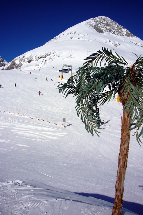 8. Februar 2010
