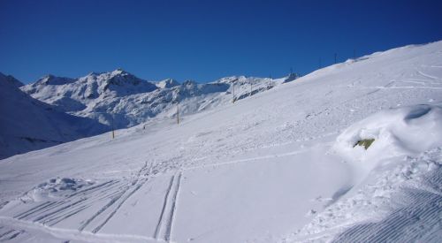 8. Februar 2010
