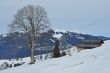 Dateiname=20100225-b-faltschen-0541.jpg
Dateigröße=220KB
Abmessungen: 900x598
hinzugefügt am: 26. Februar 2010 20100225-b-faltschen-0541.jpg