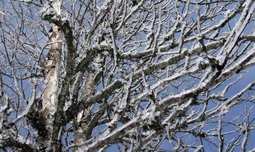 Nach einer eiskalten Nacht mit Schneeregen
