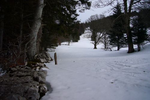 Mehr Fotos der Anlagen [url=http://www.jacomet.ch/themen/skilift/album/thumbnails.php?album=247]hier[/url] 
