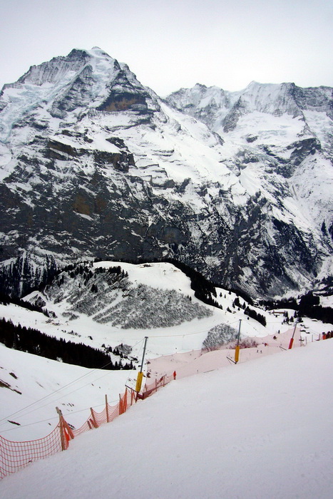 Kanonenrohr, 3. März 2010
