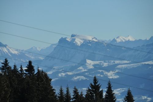Hohgant, 1. März 2010
