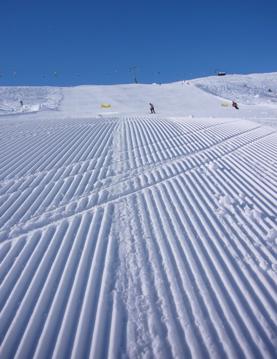 8. März 2010

