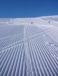 20100308-sedrun-40005.jpg