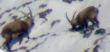 20100308-sedrun-40025.jpg