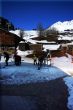 20100406-a-sedrun-0294.jpg