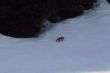 20100408-sedrun-0409.jpg