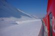 20100409-gemsstock-0436.jpg