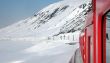 20100409-gemsstock-0444.jpg