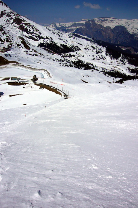 17. April 2010
