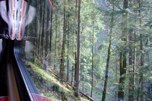 Im Steilstück der ZB Engelberg-Luzern
