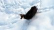 20101123-zermatt-0650.jpg