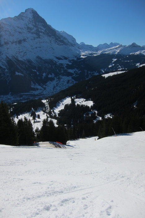 First, 17. Januar 2011
