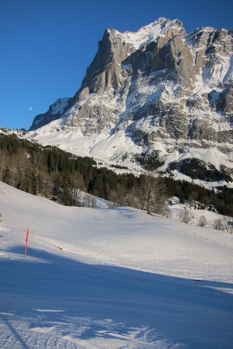 First, 17. Januar 2011
