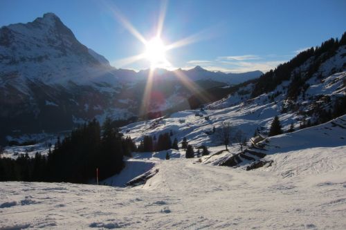 First, 17. Januar 2011
