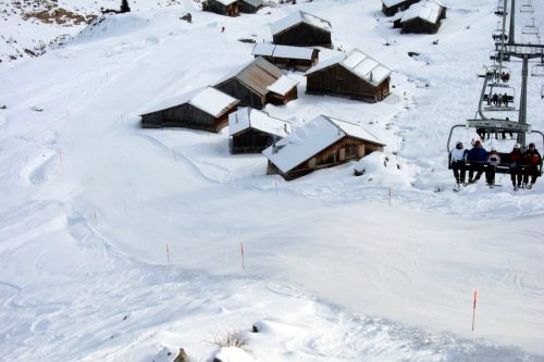 29. Januar 2011
