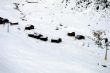 20110129-sedrun-2385.jpg