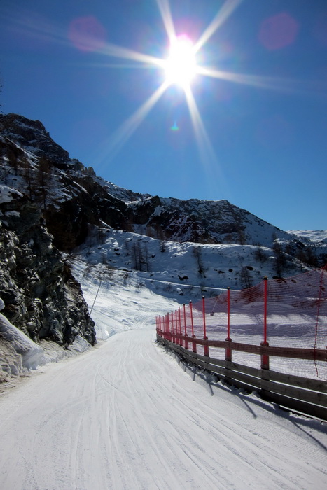 7. Februar 2011
