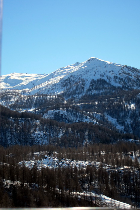 7. Februar 2011
