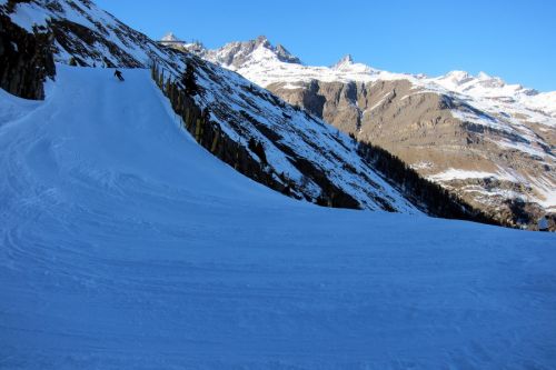 7. Februar 2011
