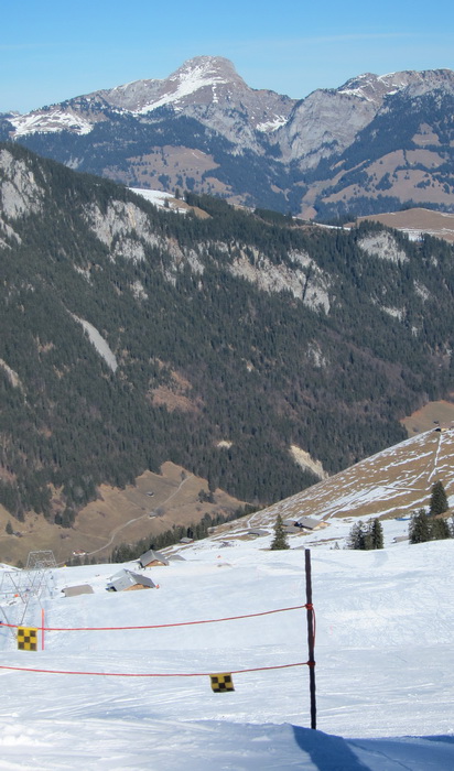 10. Februar 2011
