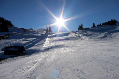 10. Februar 2011
