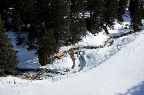 11. Februar 2011
