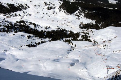 11. Februar 2011
