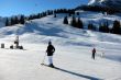 20110210-a-wiriehorn-2724.jpg